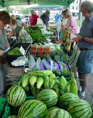 Harmony Valley Farm