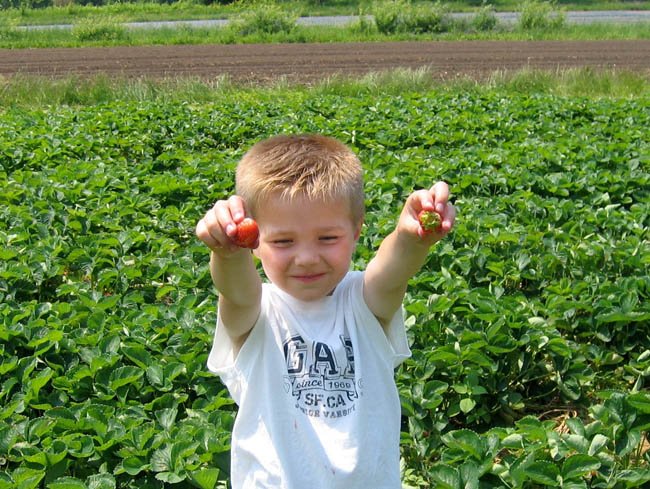 Ethan enjoying a strawberry