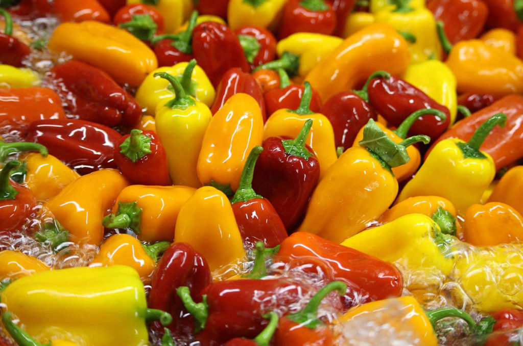 Sweet mini peppers