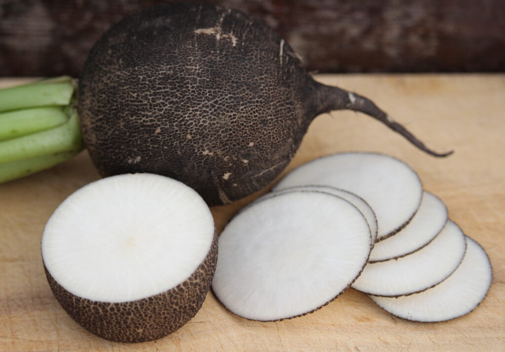 Black Spanish Radish, sliced and whole