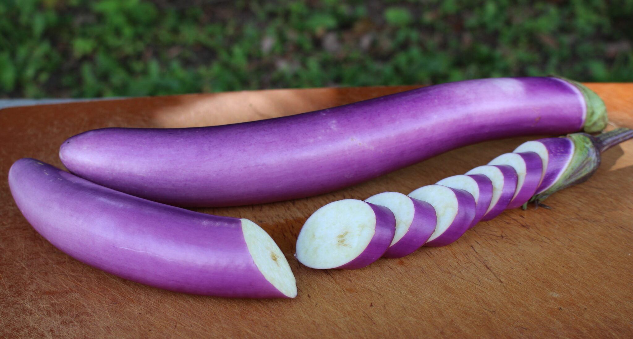 Lilac Bride Eggplant
