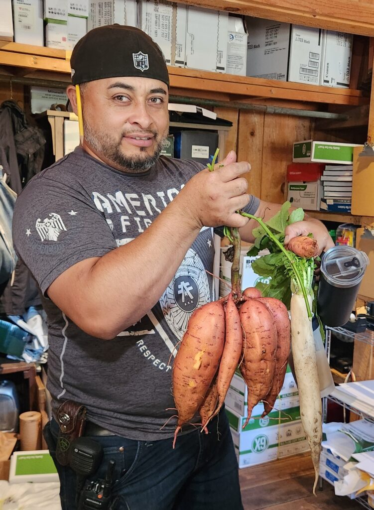Rafael showing off the sweet potatoes and daikon radish he dug up.