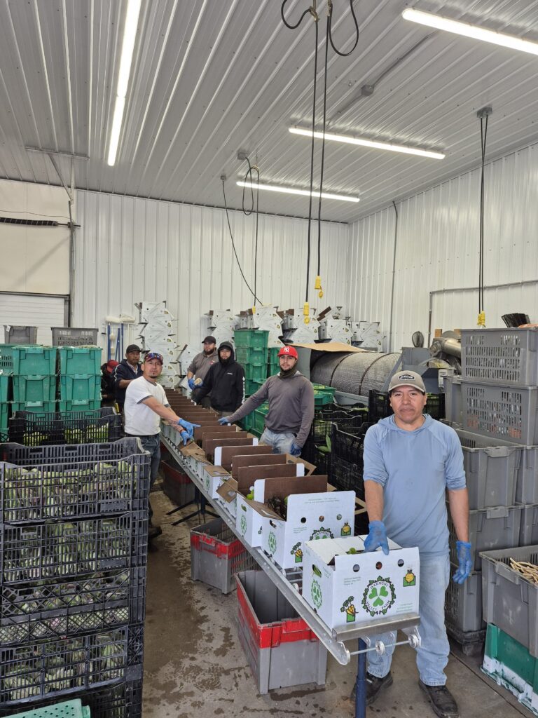 Team Packing 1st CSA box of 2026