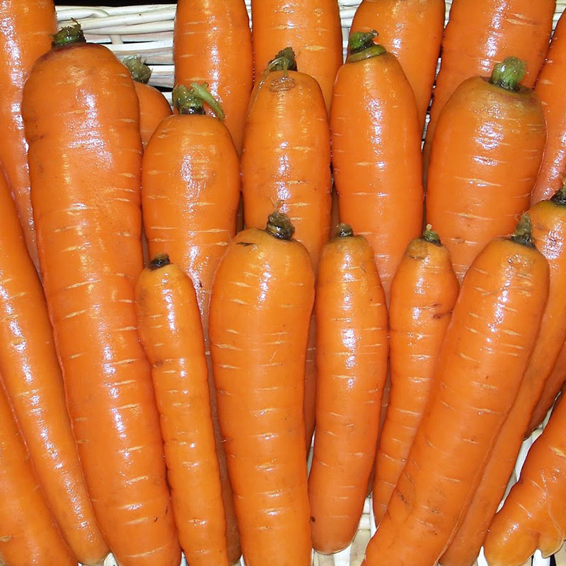 Carrots