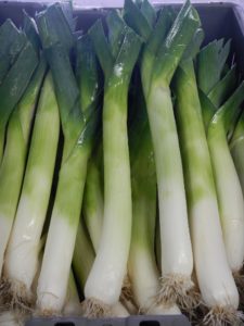 A closeup photograph of Leeks