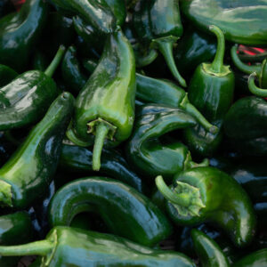 A closeup photograph of Poblano Peppers