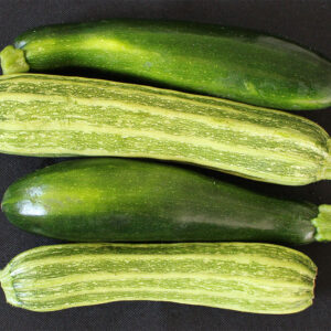 A closeup photograph of zucchini