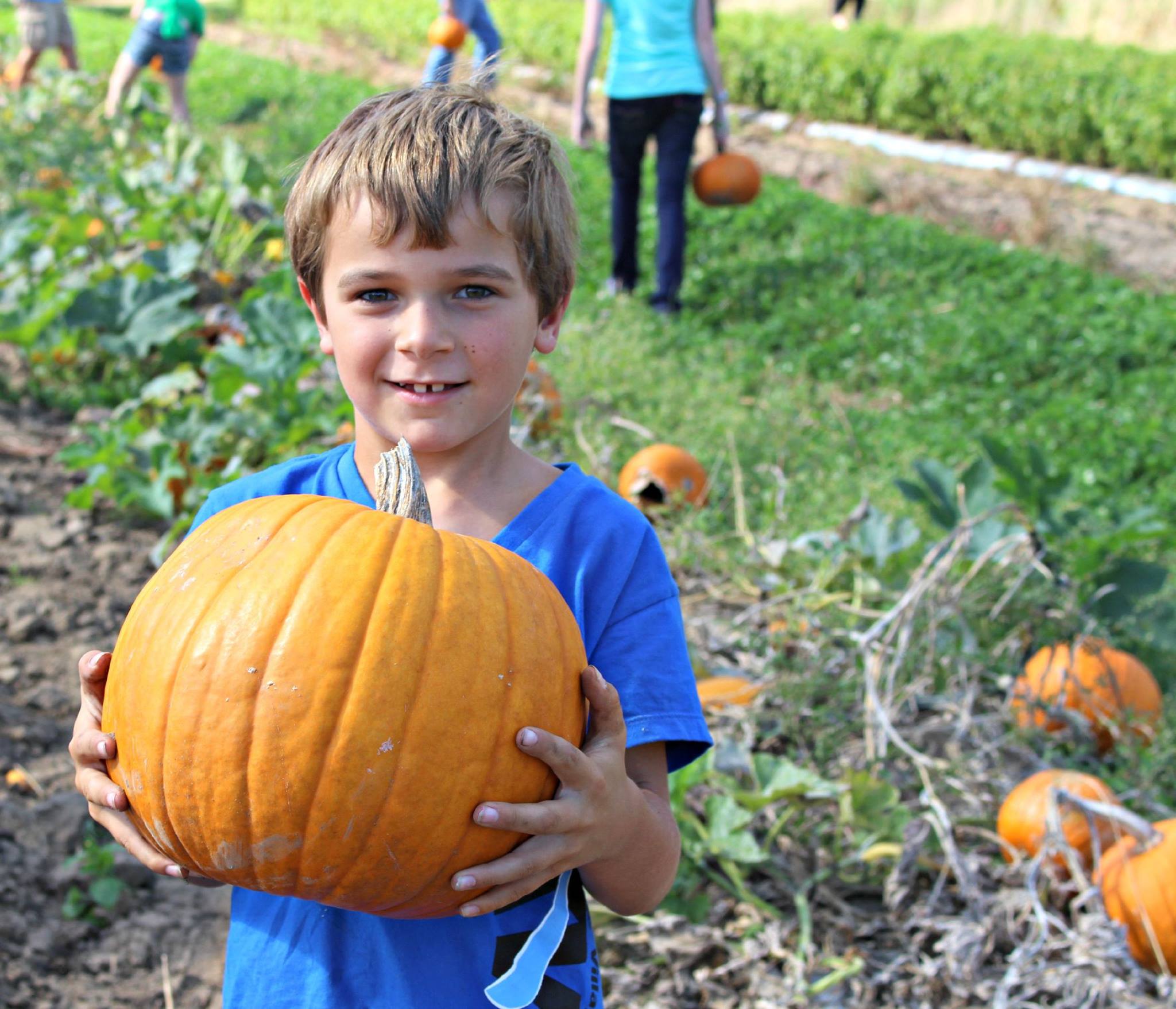 Harmony valley farm csa member child