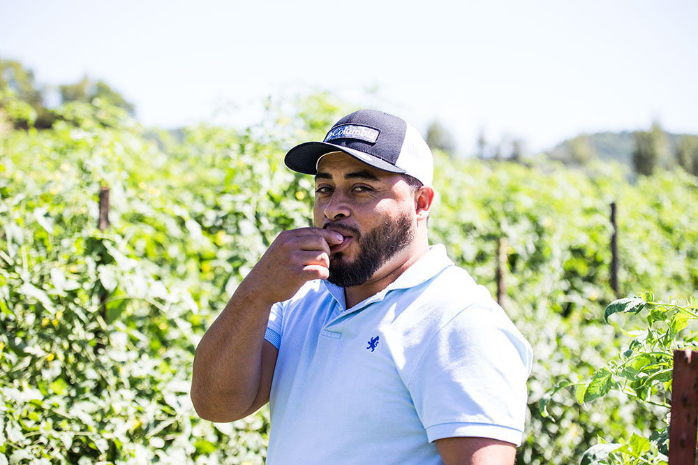 Harmony valley farm rafael eating tomato