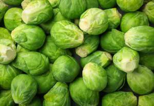 Brussels Sprouts