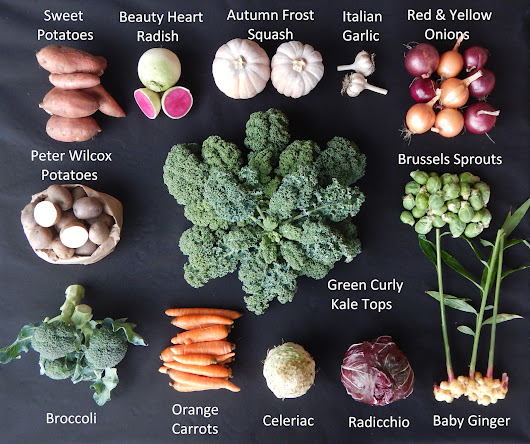 CSA Box Contents for November 17, 2022