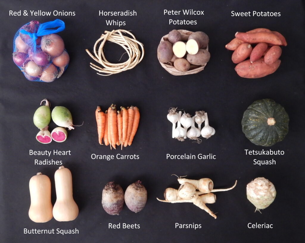 A typical December CSA box from Harmony Valley Farm