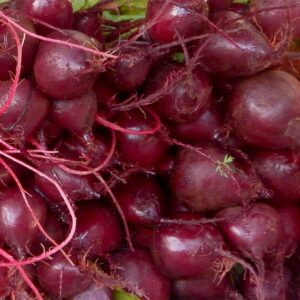 Red beets at Harmony Valley Farm