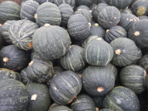 Organic Tetsukabuto Winter Squash