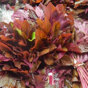 Organic Amaranth from Harmony Valley Farm