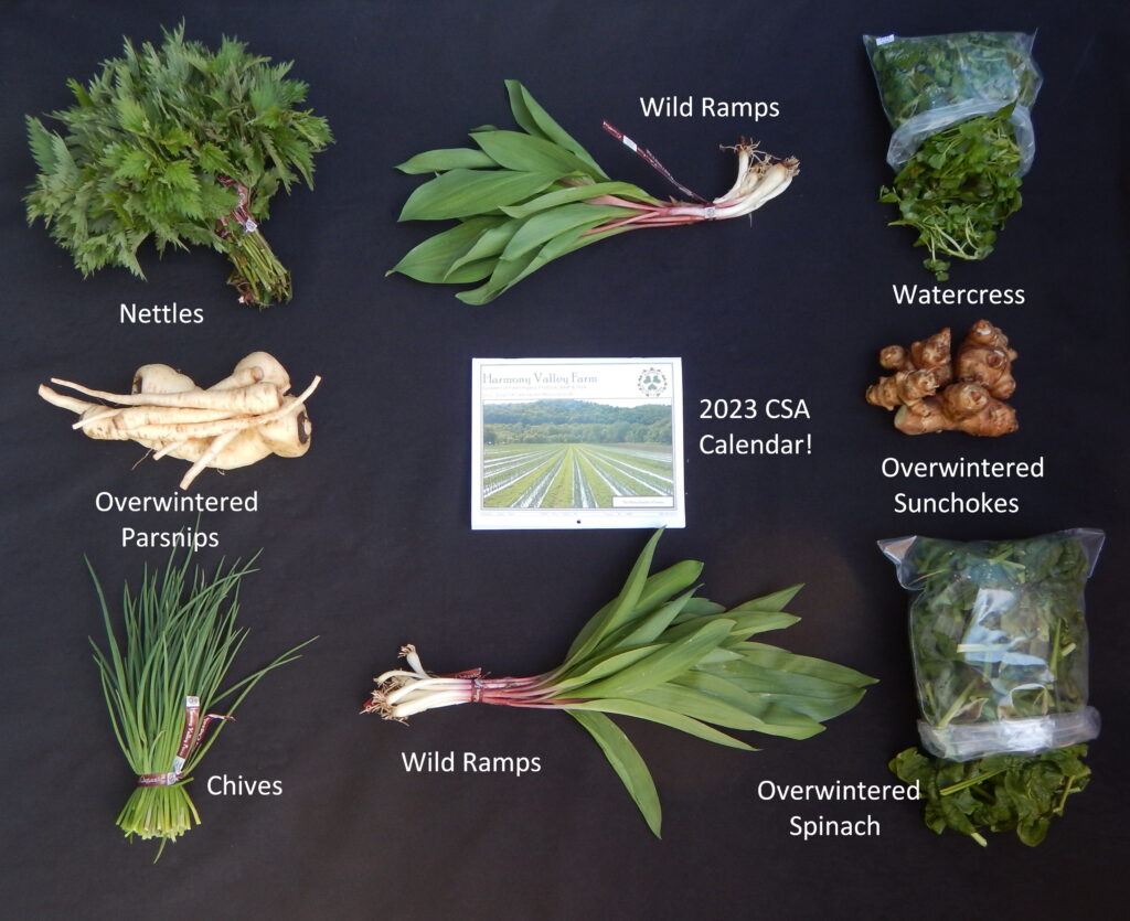 CSA Share box from May 03, 2023