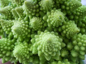 Organic Broccoli Romanesco