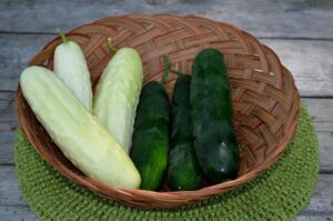 Organic Cucumbers