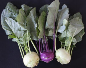 Organic Kohlrabi