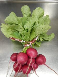 Organic Red Radish Bunch