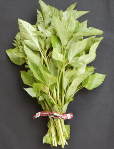 Organic Egyptian Spinach