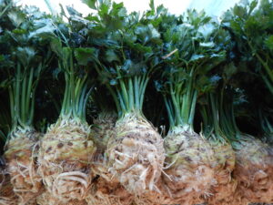 Organic Celeriac