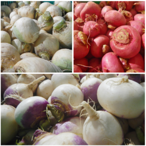 Organic Turnips