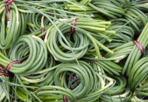 Organic Garlic Scapes