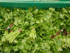 Organic Cilantro