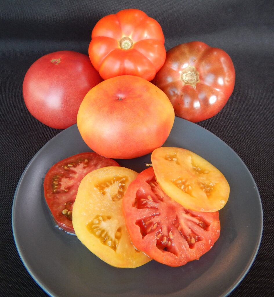 Organic Tomatoes