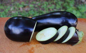 2016 0810 black eggplant
