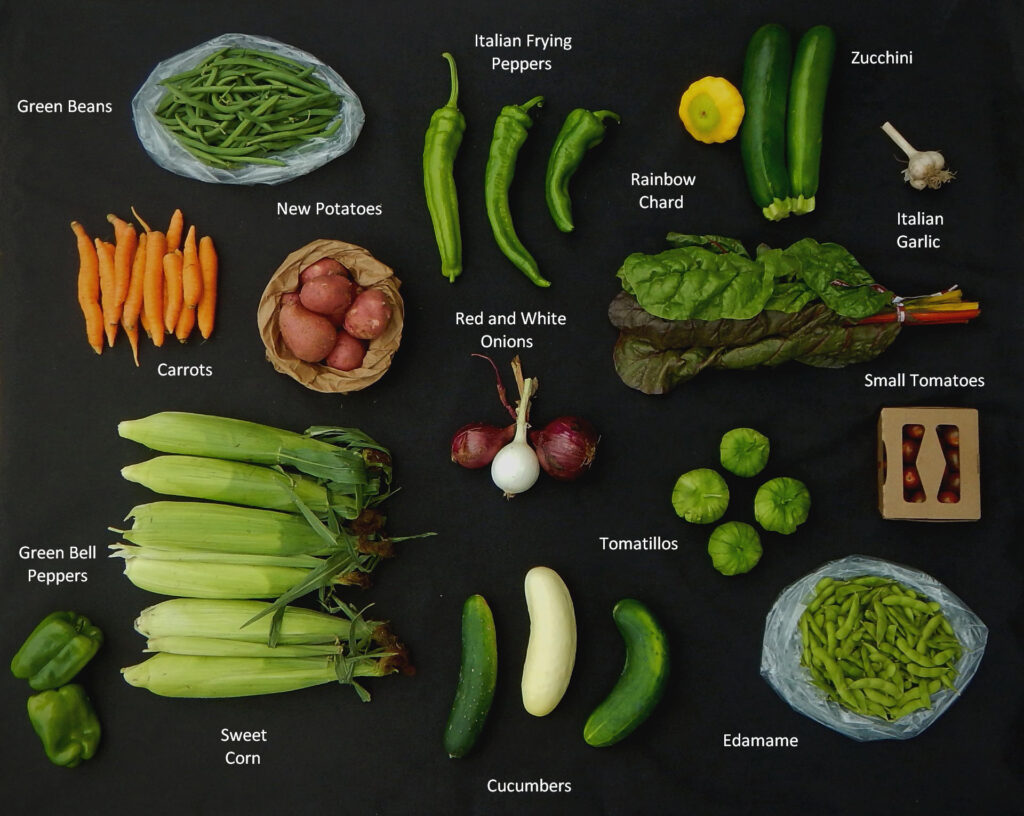 2025-0806 What's In The Box Picture