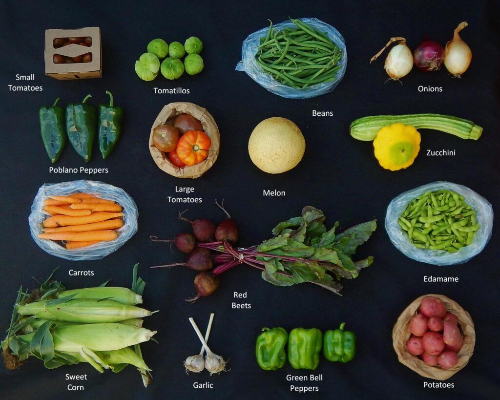 2025-0814 What's in the Box picture