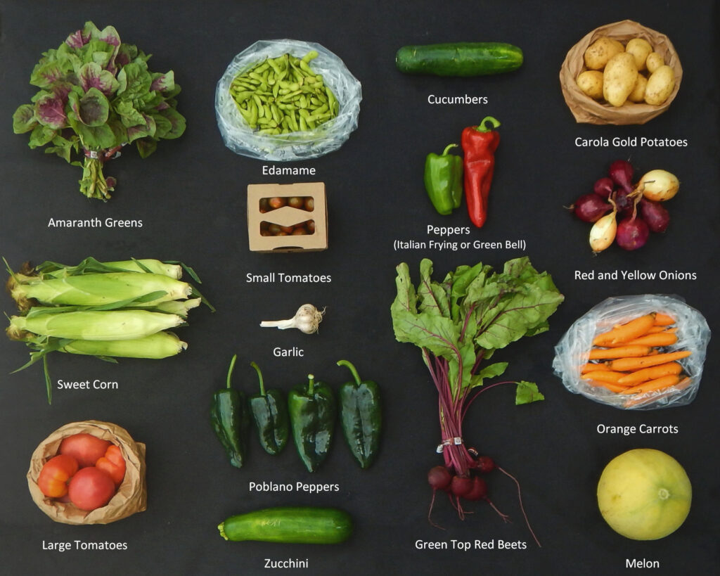 2025 0820 What's in the box picture