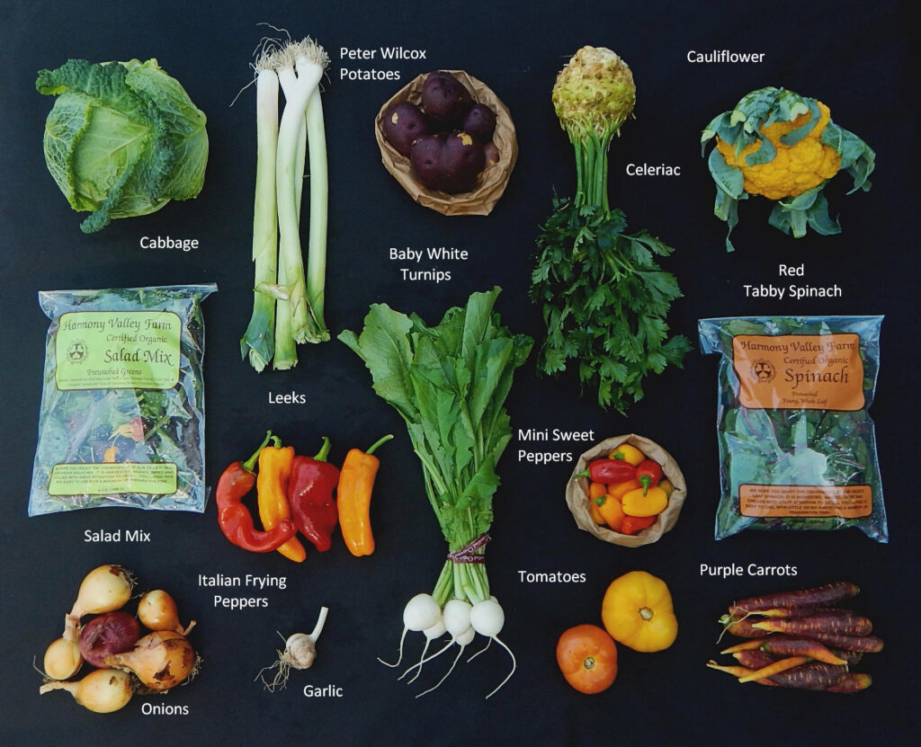 September 18, 2025 What's in the Box picture