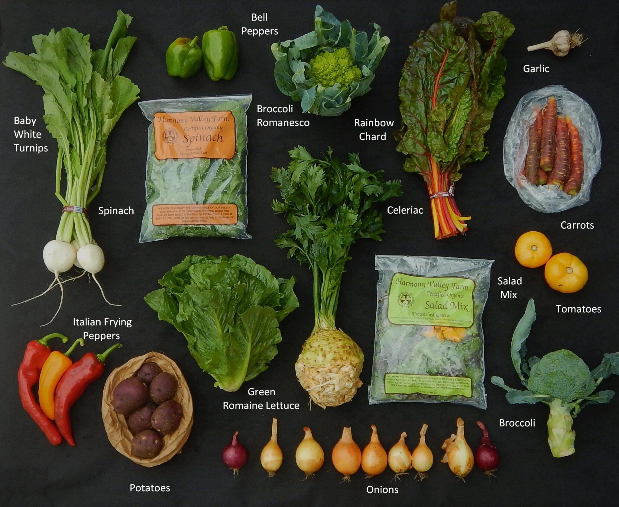Broccoli Contents September 25, 2025 – This Week’s Box Contents Featuring Broccoli ...