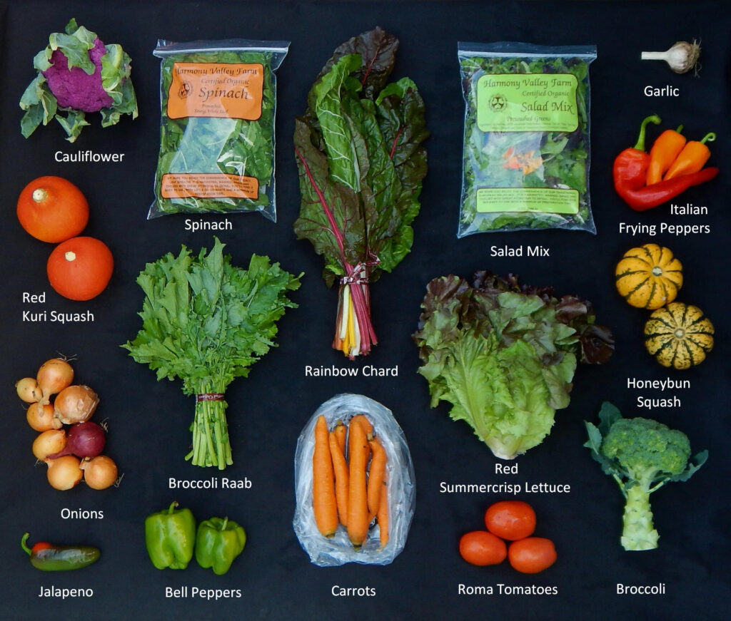 2025-1002 What's In the box picture