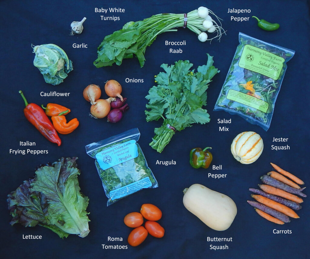 What's In The Box Contents 10/09/2025