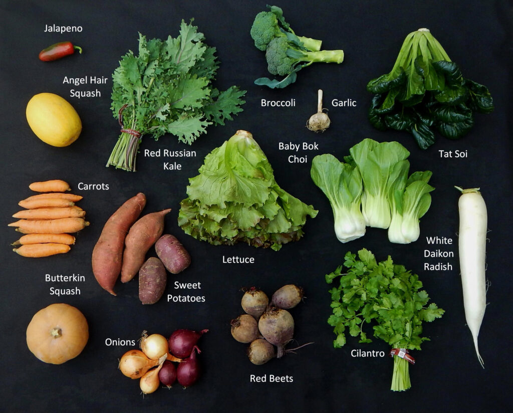 2025-1022 What's In The Box Picture