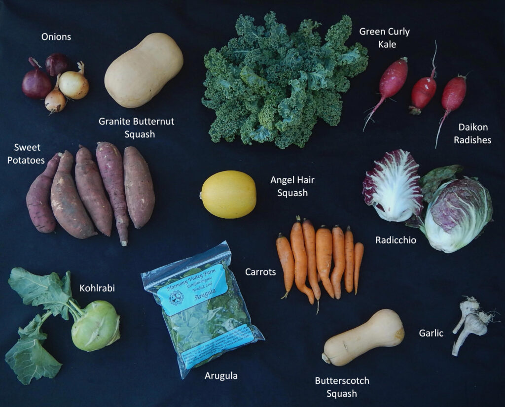 2025-1030 What's In The Box Picture