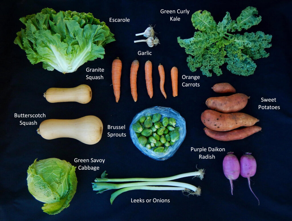 2025-1106 What's In The Box Picture