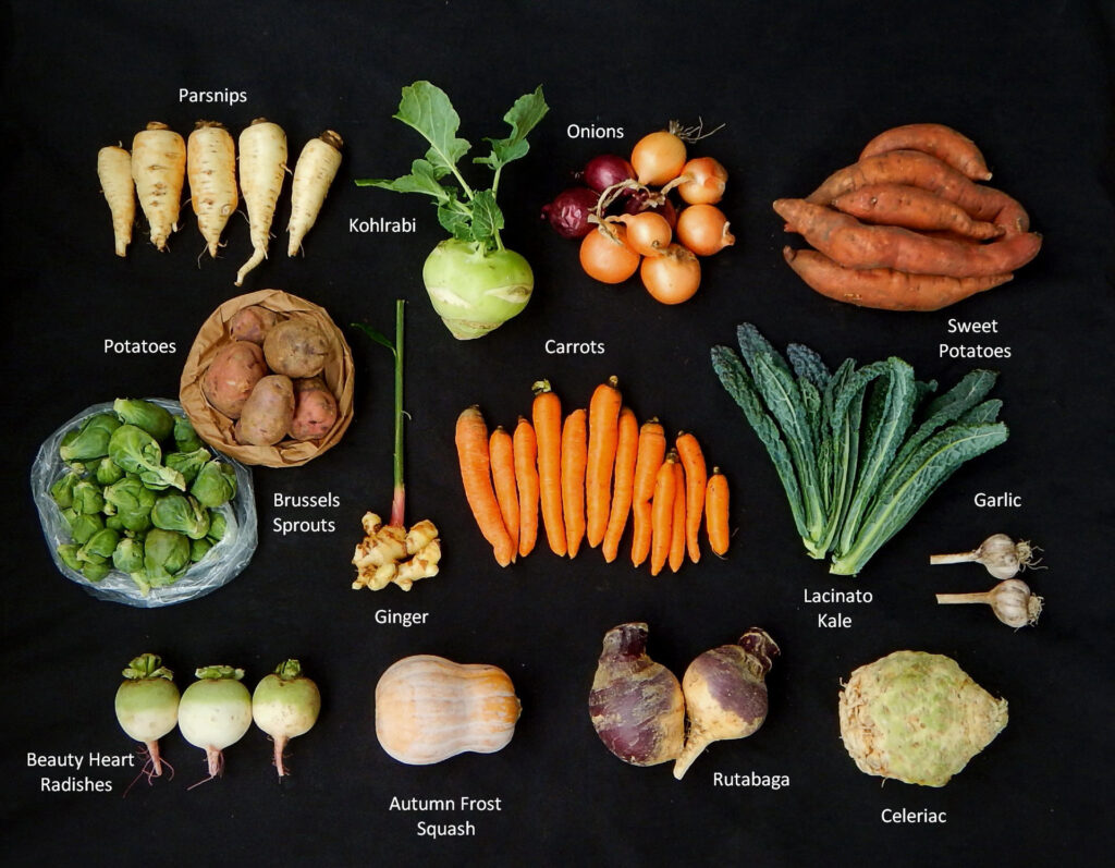 2025-1120 What's in the Box Picture