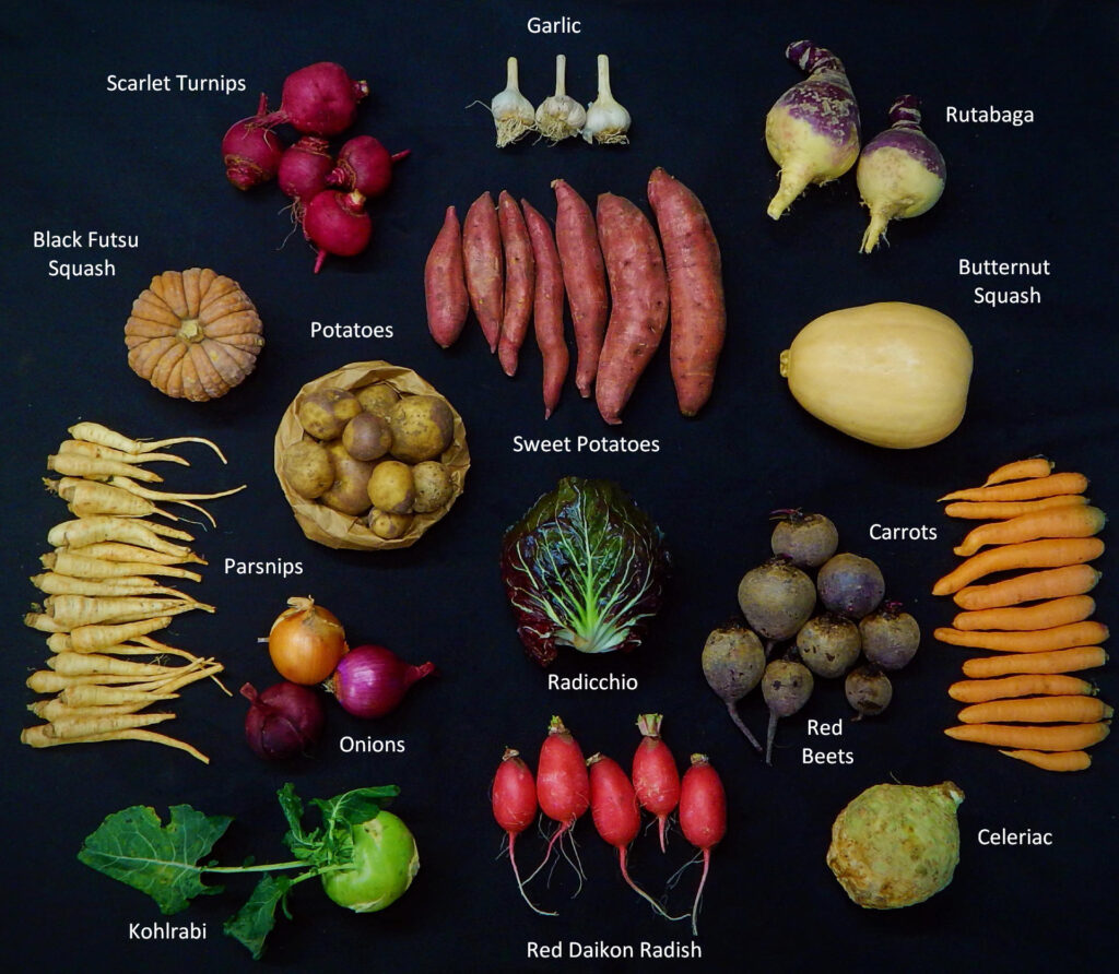 2025-1204 What's In The Box Picture