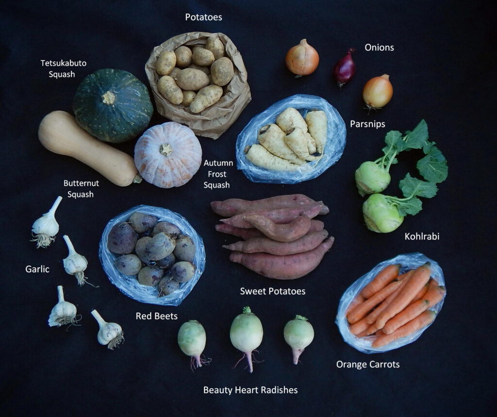 2025-1218 What's In The Box Picture