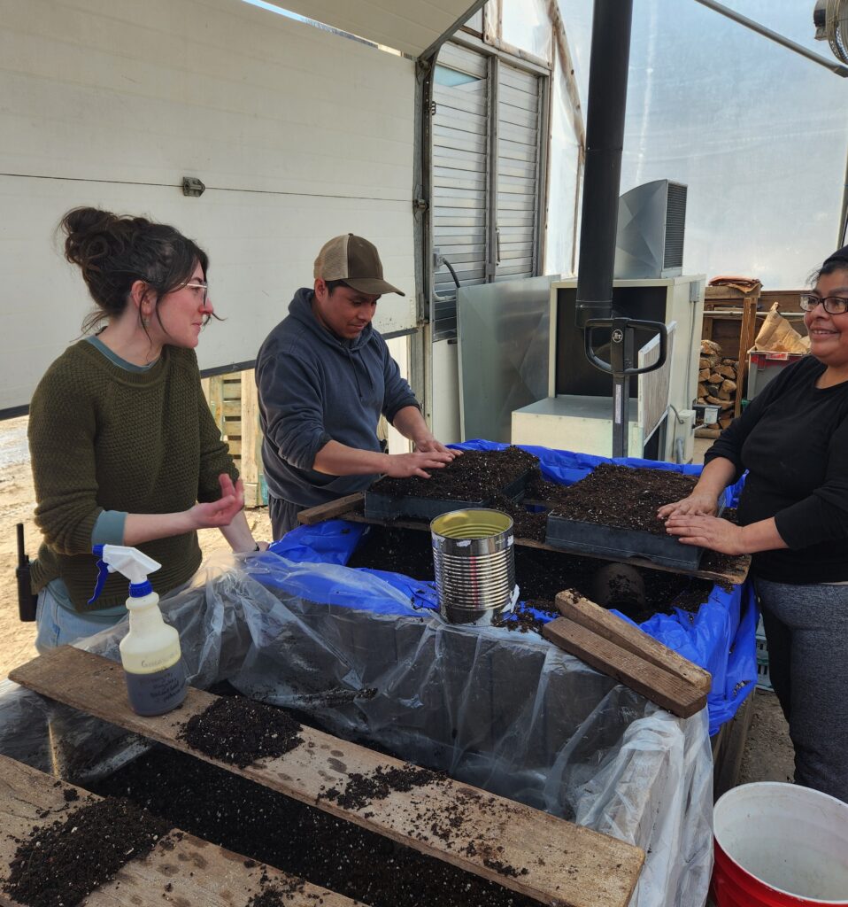 Mellissa checking in with Ramiro and Adelina filling greenhouse flats