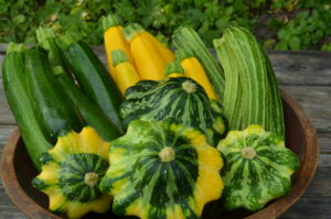 Zucchini