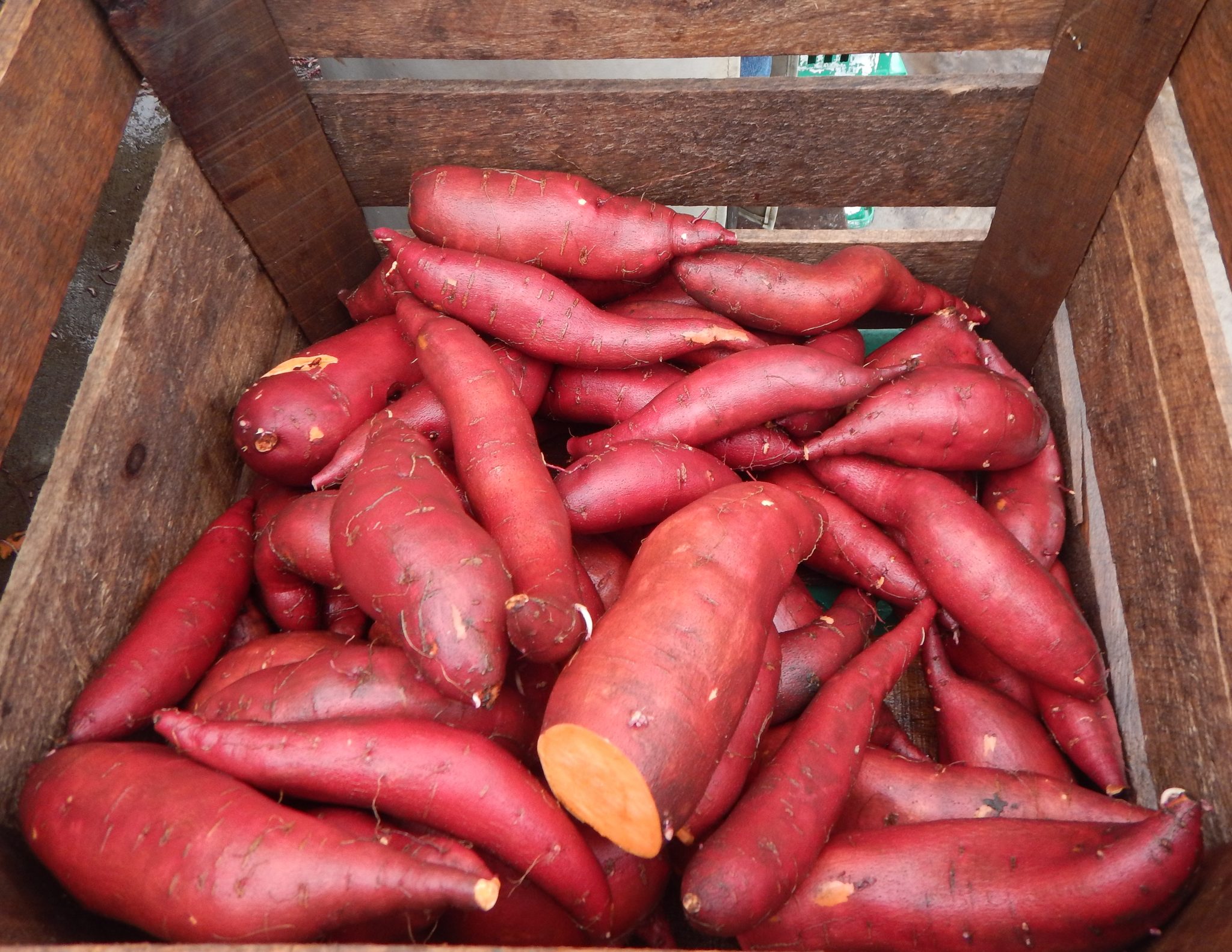 2018 1012 sweet potatoes